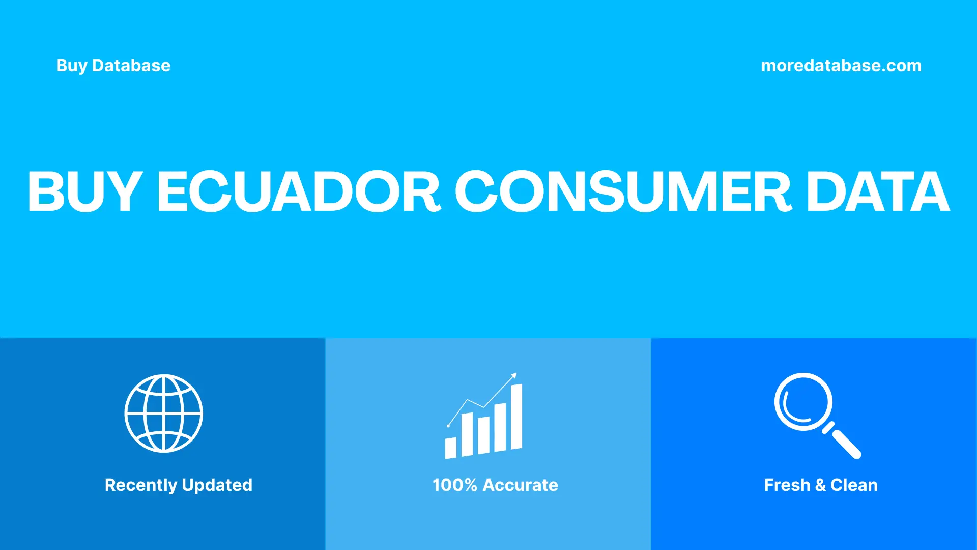 Buy Ecuador Consumer Data